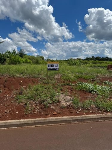 WhatsApp Image 2026-01-14 at 11.31.20