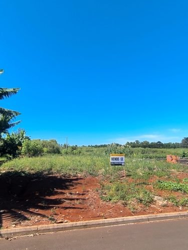 WhatsApp Image 2026-01-14 at 11.34.18